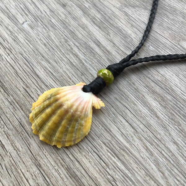 Black Moonrise Shell - Etsy