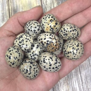 Peut inclure: Un ensemble de pierres de jaspe dalmatien polies. Les pierres sont de forme ovale, avec une base crème et des taches noires. Les pierres sont lisses et brillantes, tenues dans une main ouverte.