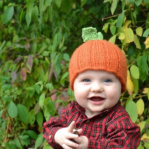 Kleine Kürbismütze PDF Strickanleitung von Vint Hill Knits
