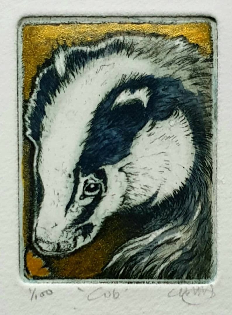 Badger cub smelling a flower etching