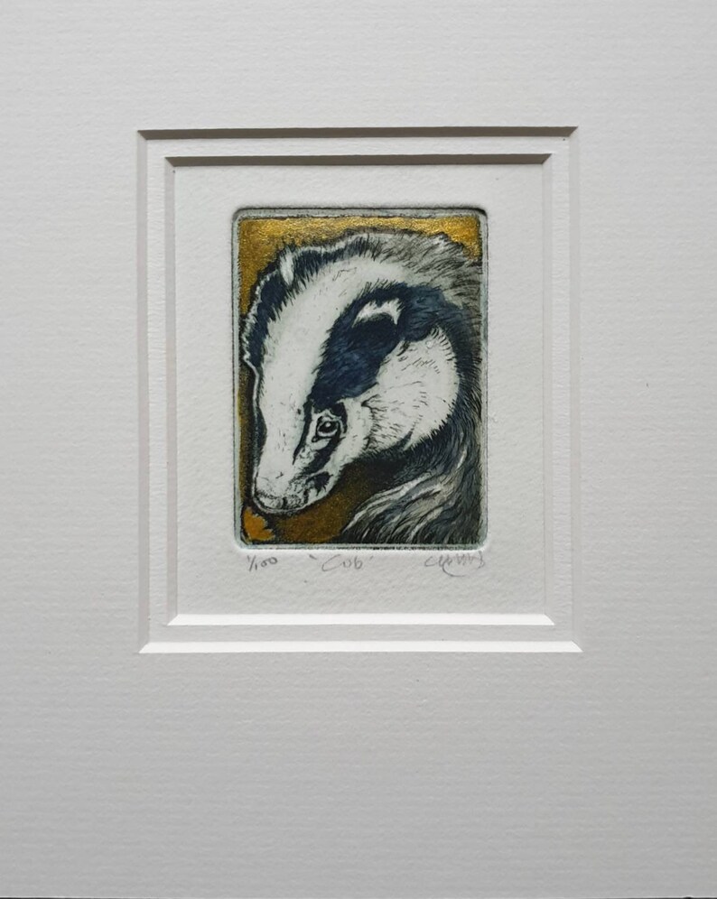 Badger cub smelling a flower etching