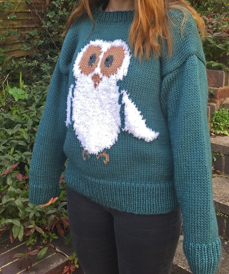 May include: A teal blue knitted sweater with a white owl design. The owl has brown eyes and a brown beak.