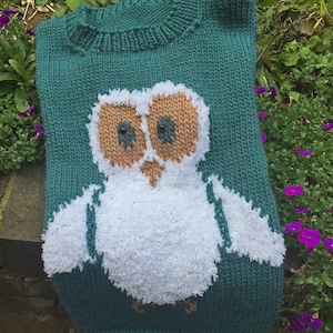 May include: A teal knitted sweater with a white owl design. The owl has brown eyes and a fluffy white body.