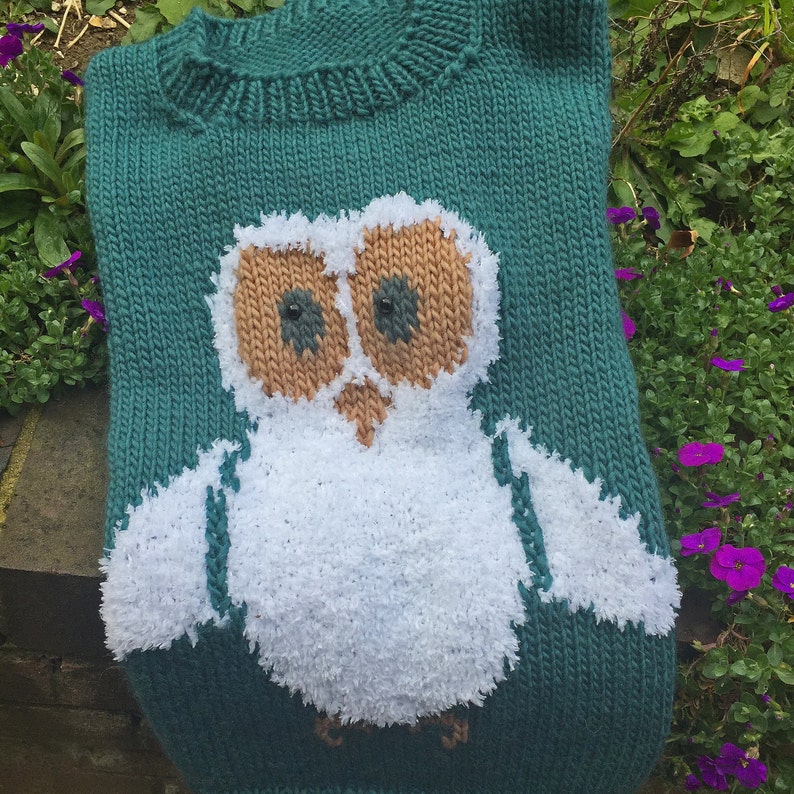 May include: A teal knitted sweater with a white owl design. The owl has brown eyes and a fluffy white body.