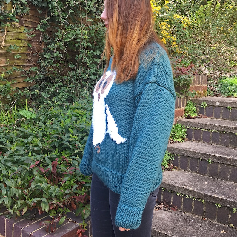 May include: A teal blue knitted sweater with a white owl design. The sweater has long sleeves and a relaxed fit.