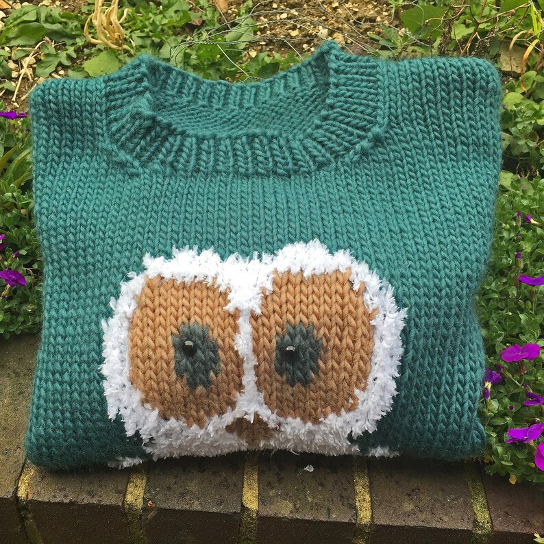 May include: A teal blue knitted sweater with a brown and white owl design on the front.