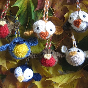 May include: A collection of knitted bird ornaments in various colors, including red, blue, yellow, and white. The ornaments are hanging from a branch with autumn leaves.
