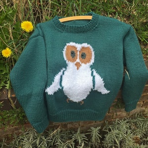 May include: A teal green knitted sweater with a white owl design. The owl has brown eyes and a beak.
