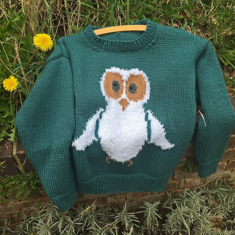 May include: A teal green knitted sweater with a white owl design. The owl has brown eyes and a beak.
