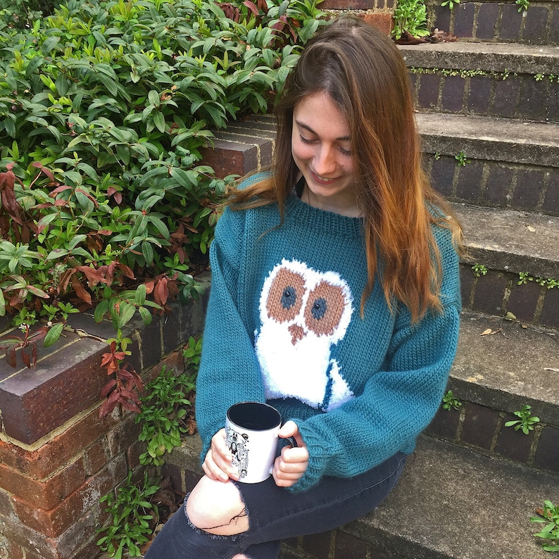 May include: A teal blue knitted sweater with a white owl design. The owl has brown eyes and a brown beak. The sweater is worn by a person sitting on a set of stone steps.