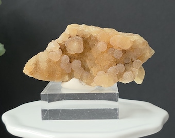Può includere: Un esemplare di geode color beige chiaro con formazioni a grappolo, esposto su un blocco di acrilico trasparente e un piedistallo bianco. La geode ha una superficie ruvida e strutturata. Lo sfondo è grigio scuro.