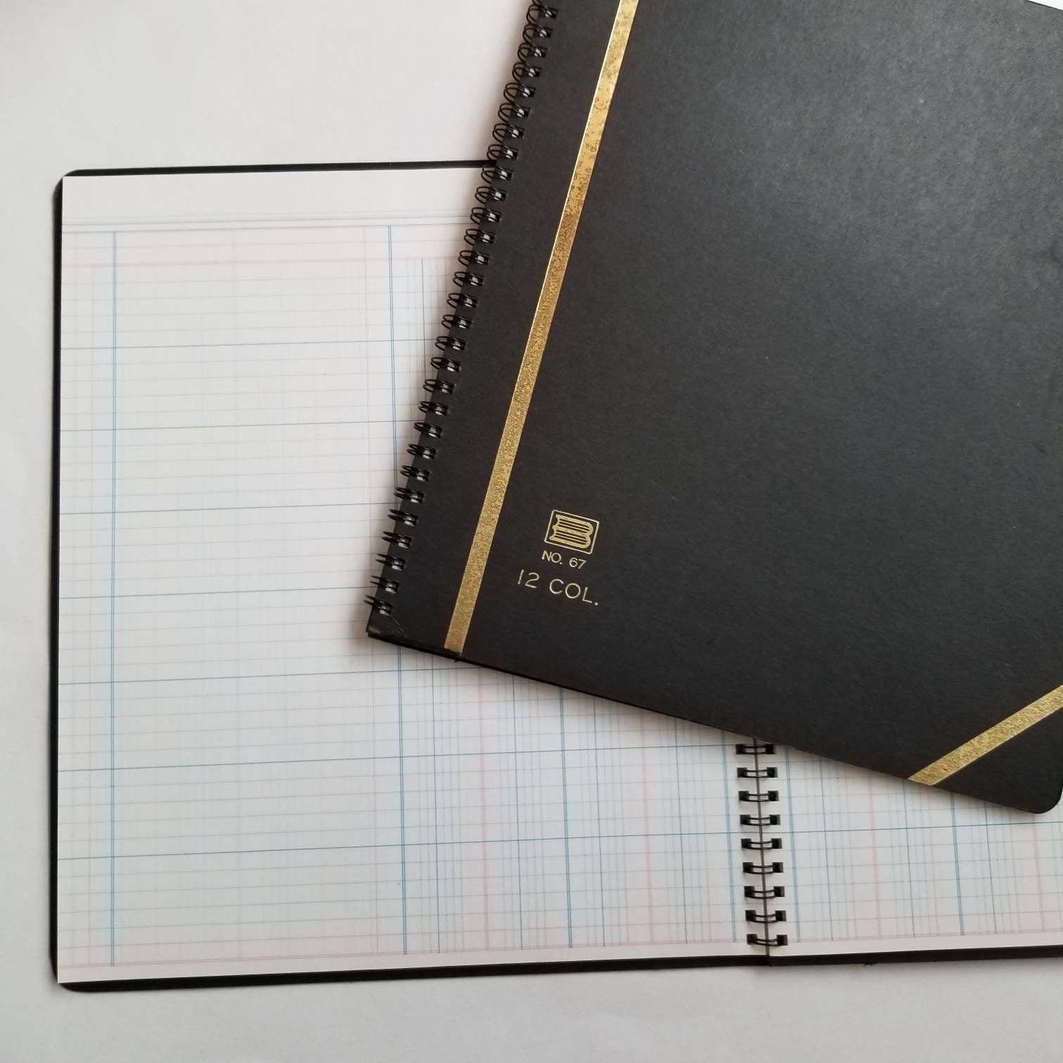 Blueline 12 Column journal / Recycled columnar books Etsy