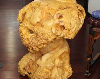 Hand Carved Box Elder Burl Wood Bust Sculpture, The Ravin, One-of-a-Kind Maple Burl Art
