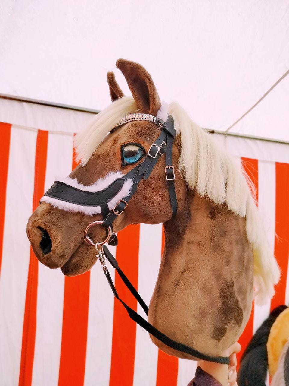 Chemise D'équitation Hobby Horse Taille M – Fabriquée Aux US, D'occasion
