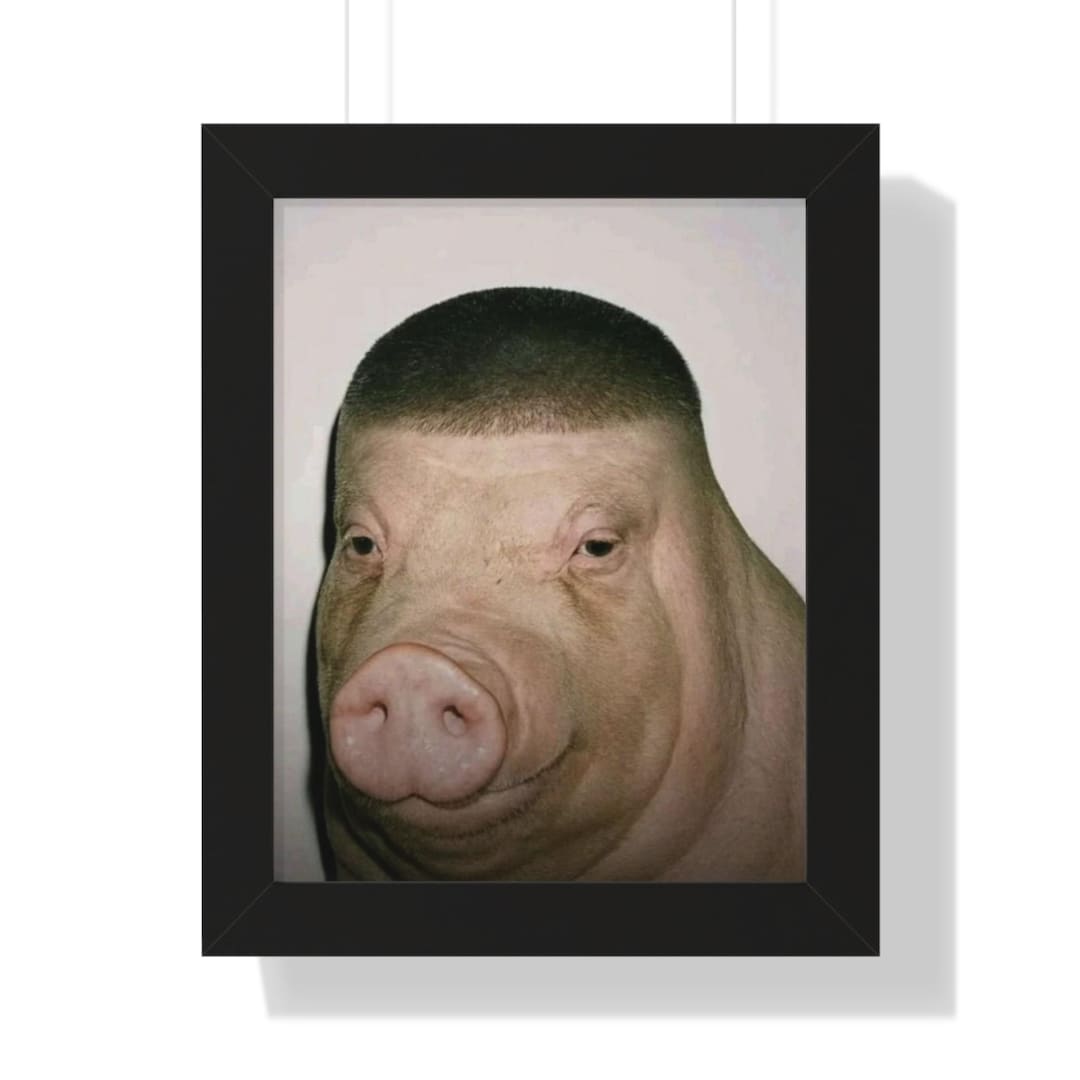Fade Pig Exploding Pig With Fade Poster | Pig Fade Meme | Pig Haircut Meme - Etsy