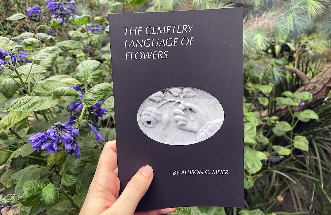 The Cemetery Language of Flowers Zine