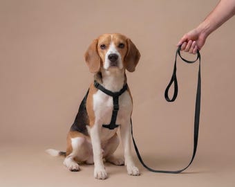 Pettorina per cani nera, guinzaglio, guinzaglio per cani fatto a mano, collare per animali domestici, accessori per cani, regali per animali domestici
