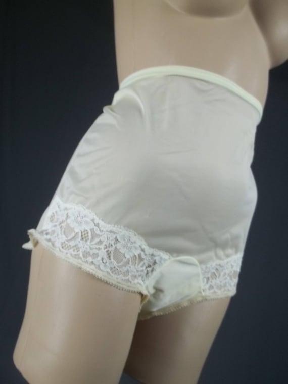 vanity fair nylon brief
