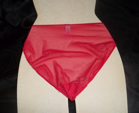 victoria's secret vintage panties bikini lace pin… - image 4