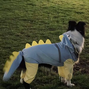 以下が含まれることがあります： 緑の草の上に、青と黄色の恐竜のコスチュームを着た犬。コスチュームは、黄色のアクセントが付いた青いボディスーツ、黄色の尻尾、フードで構成されています。犬は白と黒の毛皮をしています。
