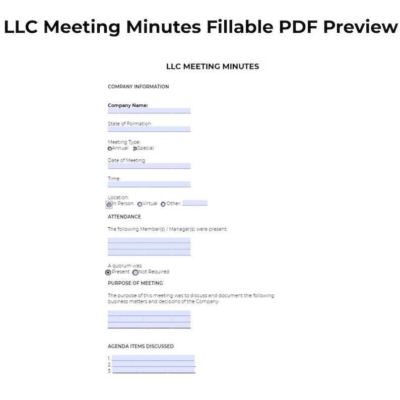 LLC Meeting Minutes Template Printable and Fillable PDF Small Business ...
