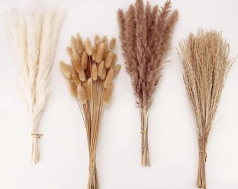 100 PCS Small Boho Pampas Grass, Natural Dried Pampas Decor, Brown White Pampas Stems for Wedding, Table & Home Decoration