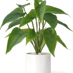 Artificial Pothos Plant in White Ceramic Pot | Realistic Faux Greenery Home Decor