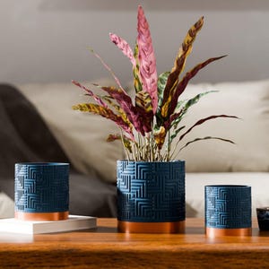 May include: A set of navy blue plant pots with a geometric design and copper-coloured bases. The largest pot contains a plant with pink, green, and yellow leaves. The pots are of varying sizes, with a small patterned cup also visible.