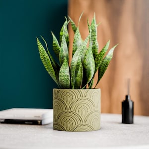 May include: A snake plant with upright, pointed, variegated green leaves potted in a cylindrical sage green ceramic planter featuring a textured, repeating fan-shaped pattern embossed across the entire exterior surface of the container.