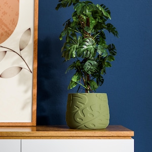 May include: A green, textured plant pot with a leaf pattern holds a large, leafy green plant. The pot sits on a wooden surface, with a framed abstract art piece in the background. The wall is painted a deep blue.