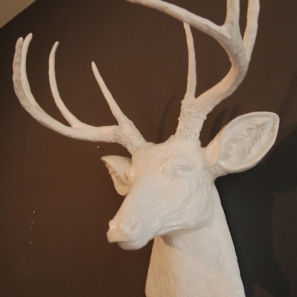 The Classic Collection Deer Faux Taxidermy
