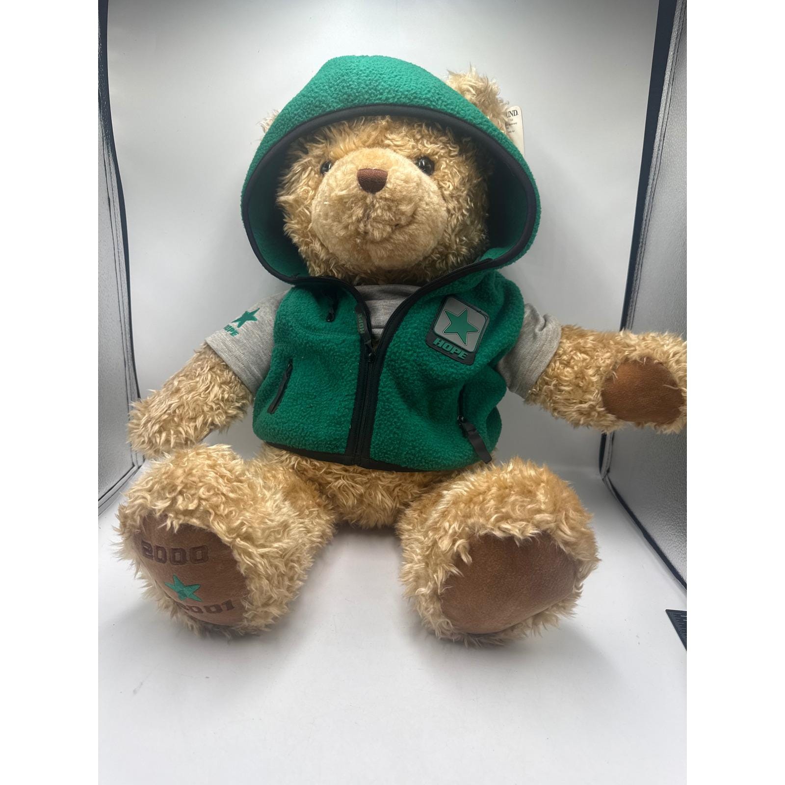 Year 2000 Teddy Bear - Etsy