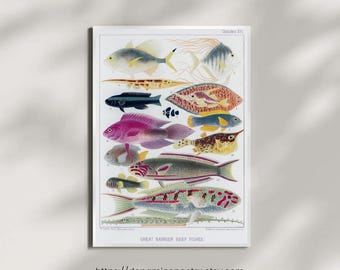 Vintage print met vissen van het Great Barrier Reef | Kleurrijke illustratie van het zeeleven | Kustmuurkunst | Afdrukbare poster met digitale kunst