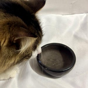 May include: A white ceramic mug with a black handle and the text "But First, Coffee" in a black, handwritten-style font. The mug is on a white surface.