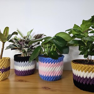 Peut inclure: Quatre plantes en pot avec des cache-pots crochetés colorés. Les cache-pots présentent des rayures diagonales dans diverses combinaisons de couleurs, dont le jaune et le violet, le noir et le blanc, le bleu et le rose, et le jaune, le blanc, le violet et le noir.