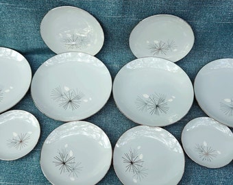 Franziskaner China Silver Pine 12 Teiliges MidCentury Modern Set