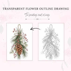 Könnte beinhalten: Eine digitale Grafik mit dem Text TRANSPARENT FLOWER OUTLINE DRAWING For painting and coloring. Sie zeigt zwei Illustrationen eines Tannenzapfens, Tannennadeln, Eukalyptusblättern und roten Beeren, eine in Farbe und eine als reine Strichzeichnung.