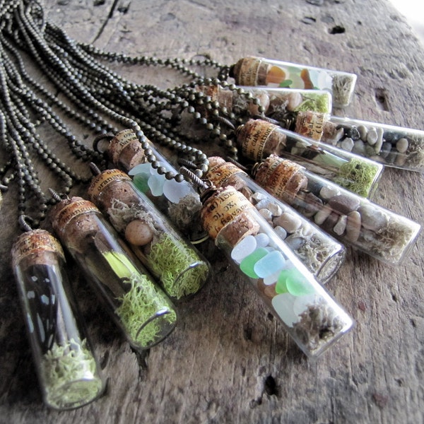 12 Natural History Vial Necklaces Wholesale