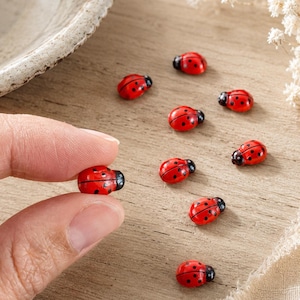 May include: A collection of small, red ladybird figurines with black spots and black heads. Each miniature insect features a rounded, glossy finish and is crafted to resemble a ladybird. These tiny decorative pieces are bright red and black.