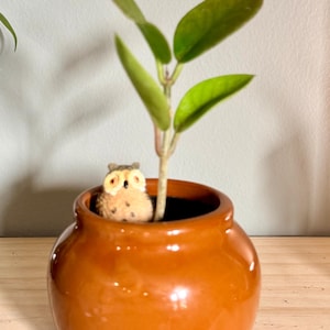 May include: A small potted plant with vibrant green leaves and a brown stem. The plant is in a round, orange ceramic pot. A small owl figurine sits at the base of the plant, adding a decorative touch.