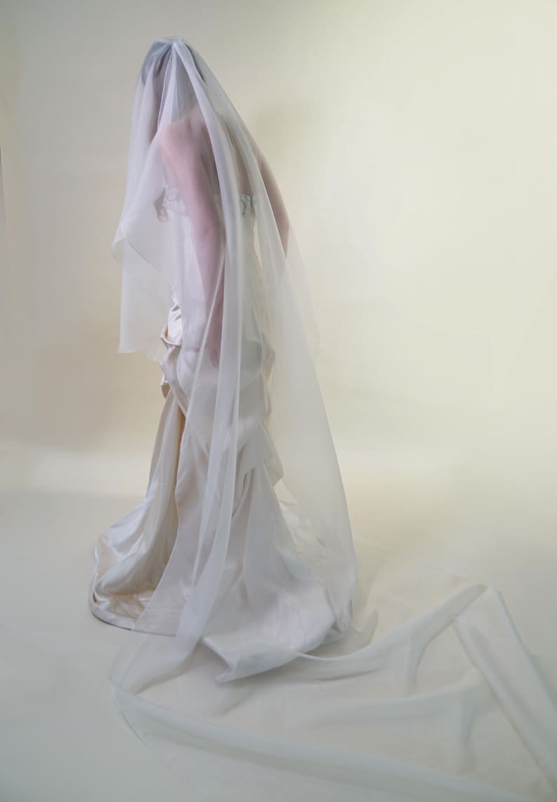 Pu&ograve; includere: Un velo da sposa bianco con un lungo strascico, realizzato in tessuto morbido e trasparente. Il velo &egrave; drappeggiato sulle spalle e cade fino a terra.