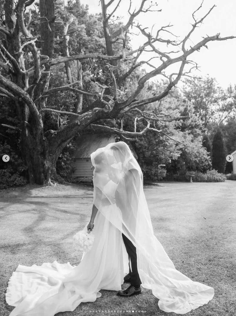 Velo di seta, Velo da sposa squisito in organza di seta al 100%, Velo da sposa Couture con fard, Velo lungo a cascata da cattedrale immagine 10