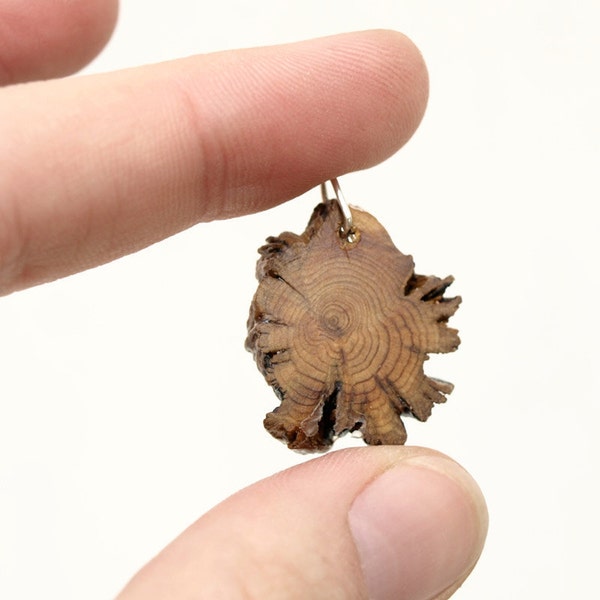 Junipier no 3 - unique wooden branch pendant - rare deformation