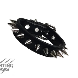 May include: Black leather collar with silver-colored spikes. The collar has a buckle closure and a metal loop. The logo "DAUNTING CLAWS" is visible in the lower left corner.
