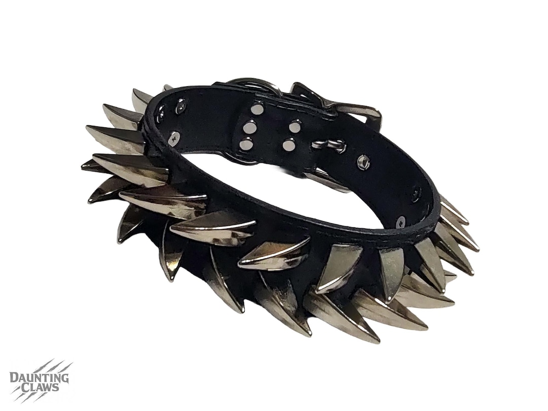 Buzzsaw Wyrm Wide Spiked Collar