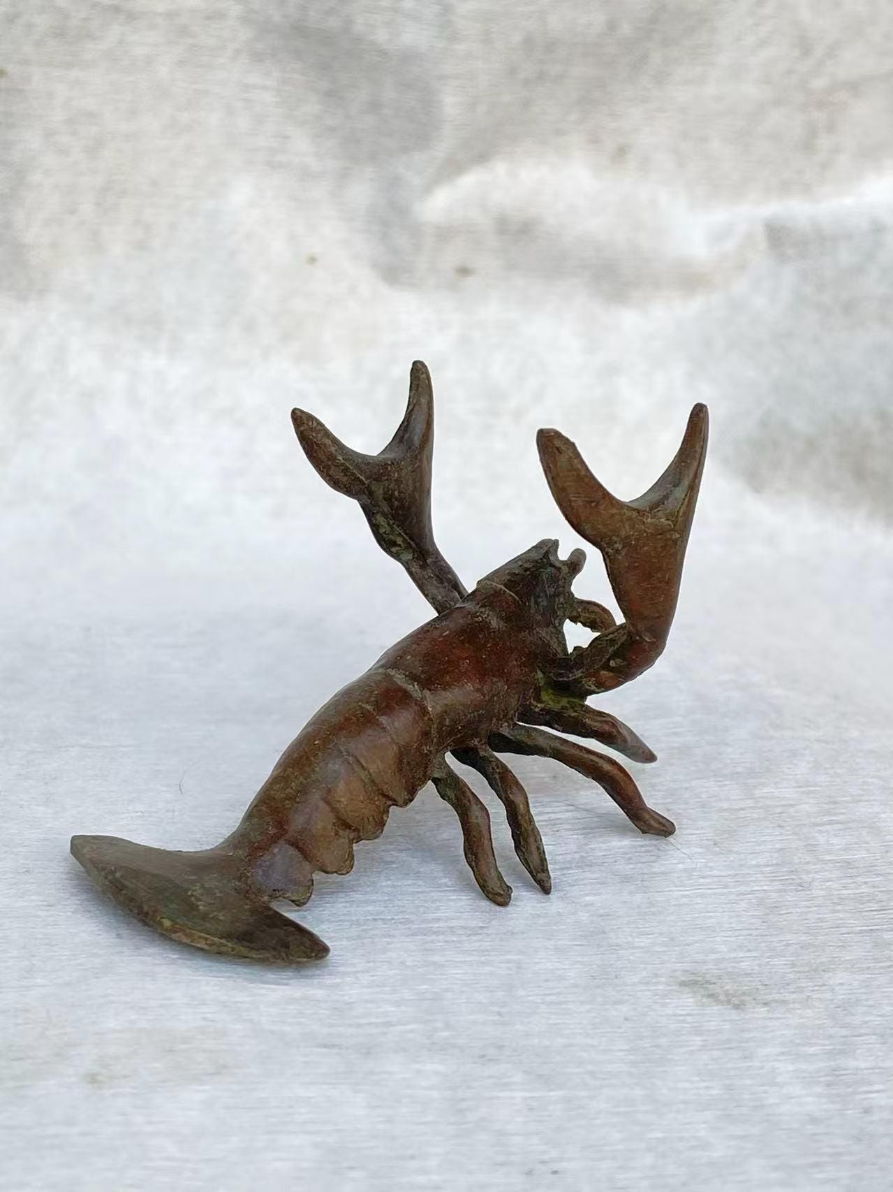 Taxidermy lobster - Etsy 日本