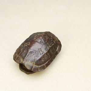 May include: A dark brown turtle shell with intricate carvings. The shell has a textured surface and a rectangular opening at the bottom. The carvings appear to be of an ancient design.