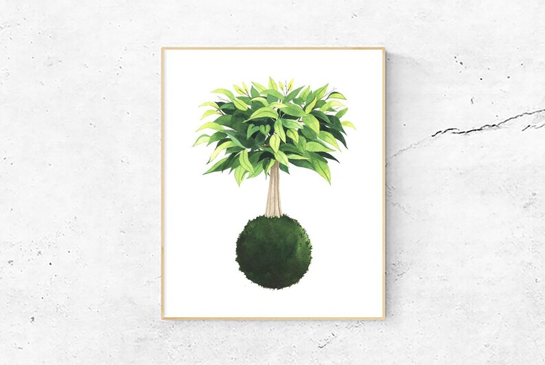 Med Money Tree Art Print Japanese Kokedama Plant Watercolor Etsy - 