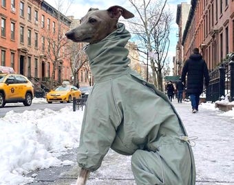 Impermeabile elasticizzato per cani, giacca a vento leggera per Whippet e levriero italiano, gilet con protezione solare per esterni