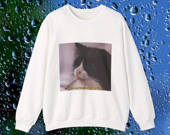 Funny Creed band inspired cat meme sweatshirt